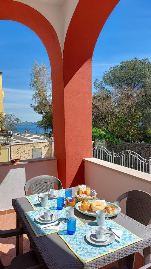 La Casa Del Sole Sul Mare Di Ischia Villa Dış mekan fotoğraf